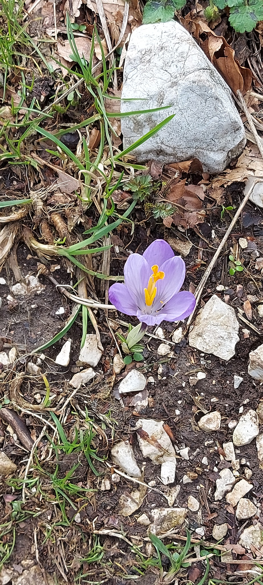 Monte Cucco (Umbria)