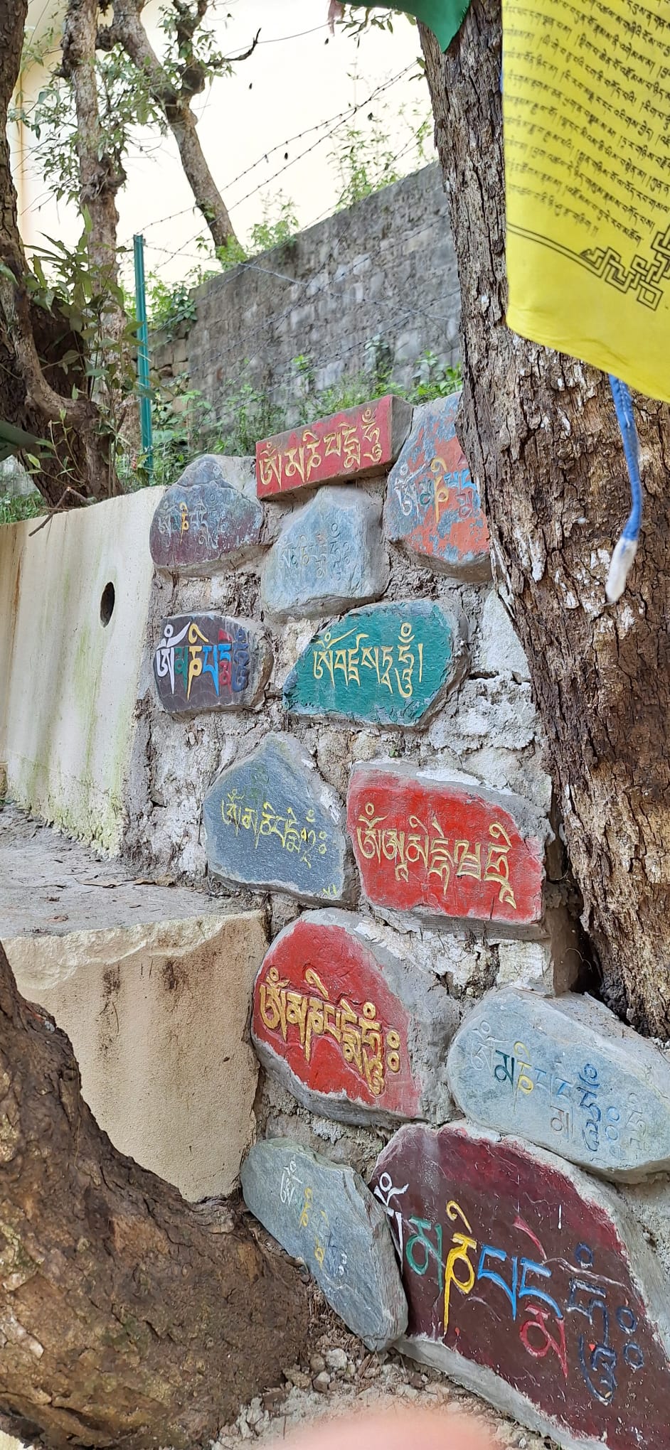 Incontro con Sua Santità il Dalai Lama