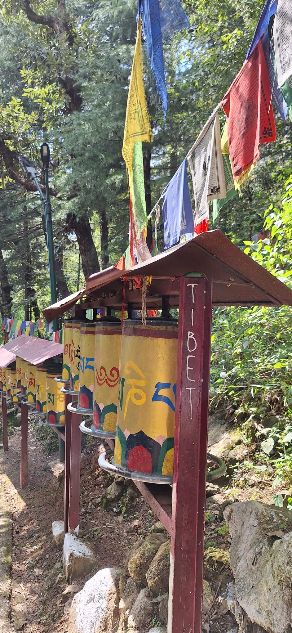 Incontro con Sua Santità il Dalai Lama