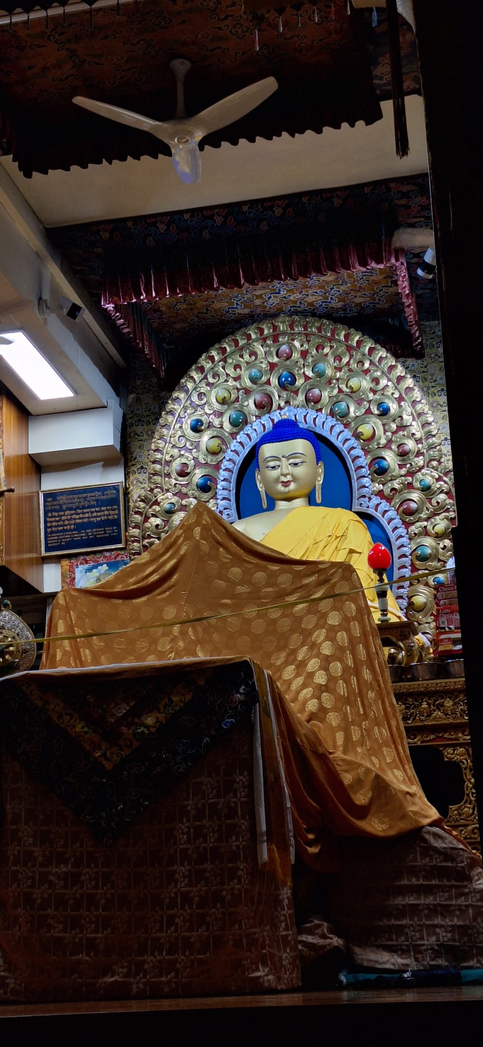 Incontro con Sua Santità il Dalai Lama